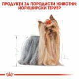 Royal Canin Yorkshire Terrier