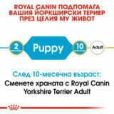 Royal Canin Yorkshire Puppy