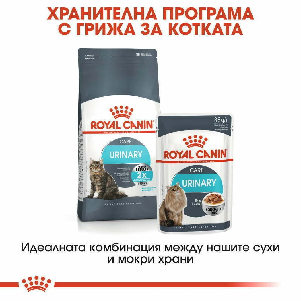 RC FCN Urinary