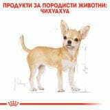 Royal Canin Chihuahua Adult