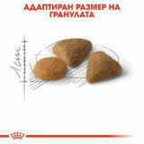 Royal Canin Exigent Savour