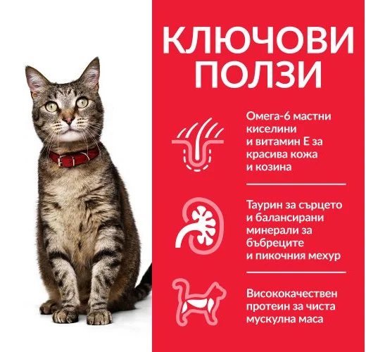 Hill’s Science Plan Adult с пилешко – пълноценна храна за котки от 1 до 6 години.
