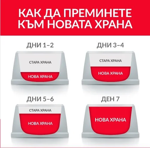 Hill’s Science Plan Adult с пилешко – пълноценна храна за котки от 1 до 6 години.
