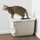 Котешка тоалетна Hop In с вход отгоре - Image 2