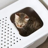 Котешка тоалетна Hop In с вход отгоре - Image 5