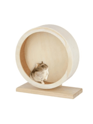 https://zooroom.bg/wp-content/uploads/2025/06/darveno-kolelo-za-hamster-22sm22-300x400.png