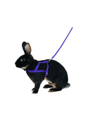 https://zooroom.bg/wp-content/uploads/2025/06/komplekt-povod-s-nagradnik-za-zayche-agility-r-r-m-1-300x400.png
