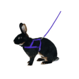 Agility повод с нагръдник за зайче р-р М - Image 2