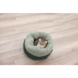Anne уютно легло за котки - Image 3
