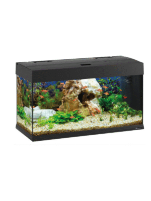 https://zooroom.bg/wp-content/uploads/2025/07/dubai-80-led-aqu.-blaccck1-akvarium-125l.-81h36h51sm-300x400.png