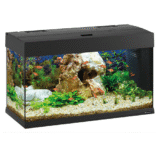 Dubai 80 LED AQU Black аквариум 125л. 81х36х51см. - Image 2