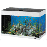 Dubai 80 LED AQU White аквариум 125л.  81х36х51см. - Image 2