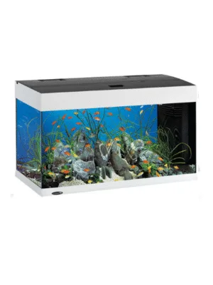 https://zooroom.bg/wp-content/uploads/2025/07/dubai-80-led-aqu.-white-akvarium-125l.-81h36h51smmm-300x400.png