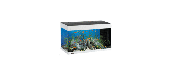 Dubai 80 LED AQU White аквариум 125л.  81х36х51см.